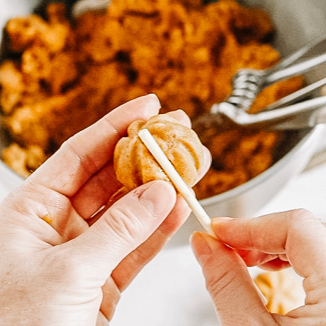 Pumpkin Cake Pops Baking Kit